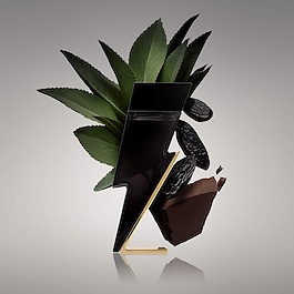 Bad Boy Eau de toilette